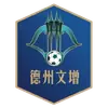 德州队